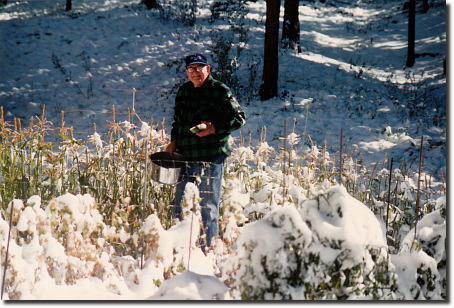 1995 garden - Dad and snow